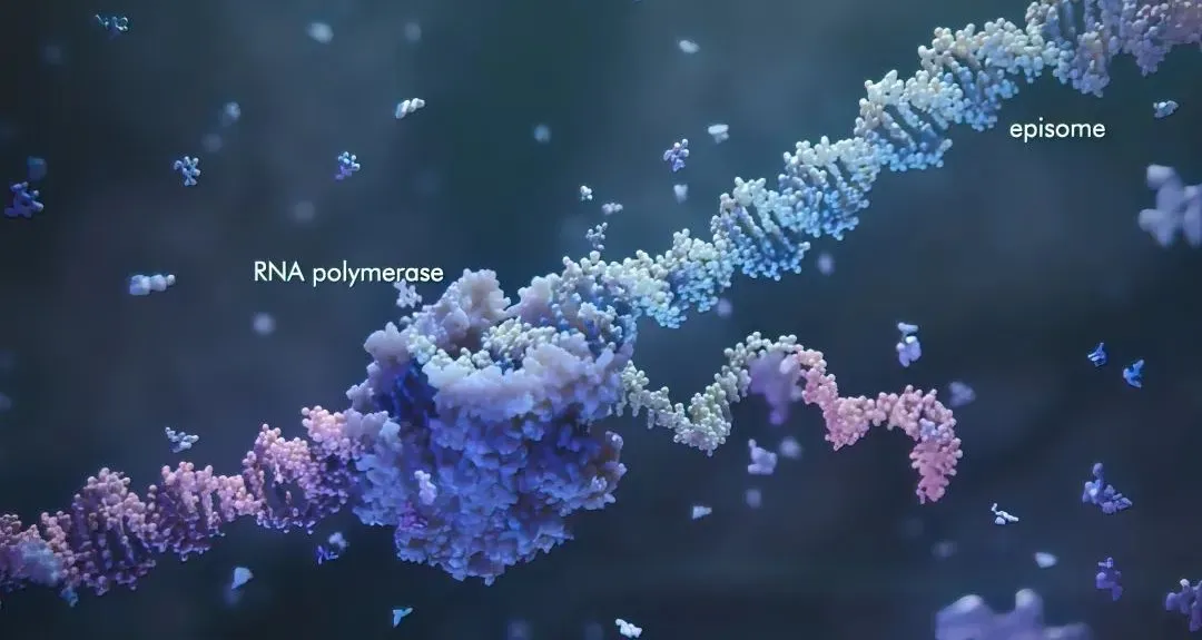 2大问题，7种方法，轻松提高肠道微生物组学培养成功率