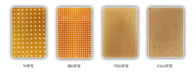 图片31.png